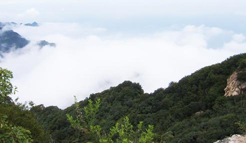 【江門2天品質(zhì)游】新會古兜溫泉、天然山泉水世界、陳